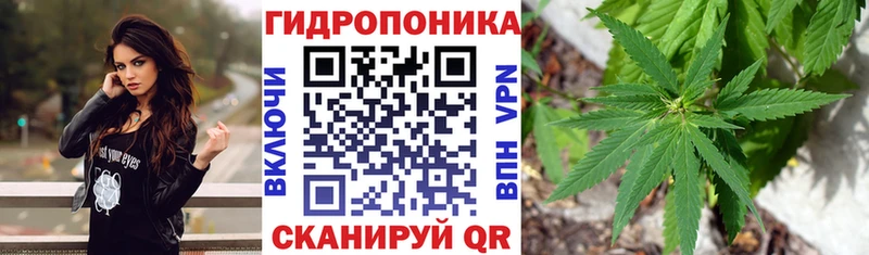 Конопля LSD WEED Алексеевка